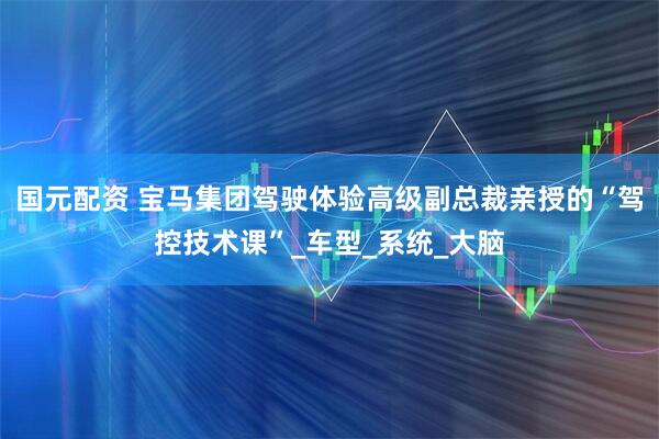 国元配资 宝马集团驾驶体验高级副总裁亲授的“驾控技术课”_车型_系统_大脑