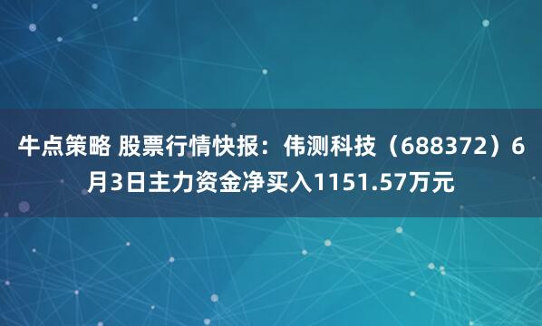 牛点策略 股票行情快报：伟测科技（688372）6月3日主力资金净买入1151.57万元