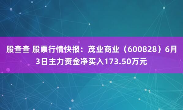 股查查 股票行情快报：茂业商业（600828）6月3日主力资金净买入173.50万元