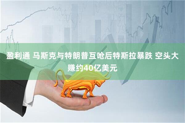 盈利通 马斯克与特朗普互呛后特斯拉暴跌 空头大赚约40亿美元