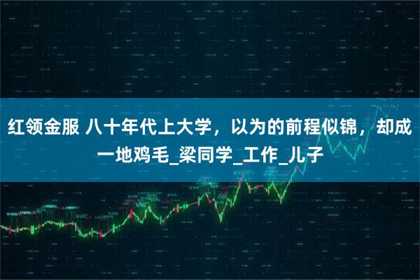 红领金服 八十年代上大学，以为的前程似锦，却成一地鸡毛_梁同学_工作_儿子