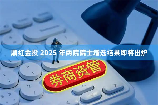 鼎红金投 2025 年两院院士增选结果即将出炉