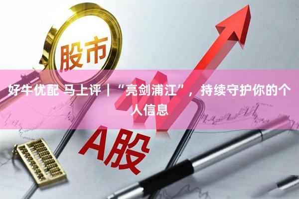 好牛优配 马上评｜“亮剑浦江”，持续守护你的个人信息