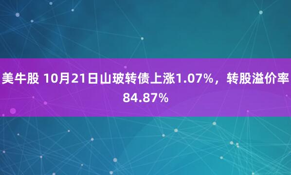 美牛股 10月21日山玻转债上涨1.07%，转股溢价率84.87%