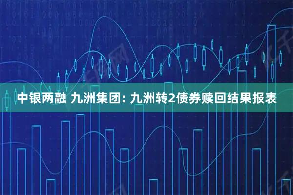 中银两融 九洲集团: 九洲转2债券赎回结果报表