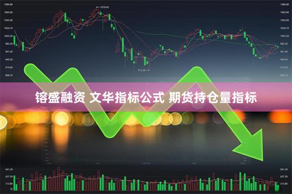 镕盛融资 文华指标公式 期货持仓量指标