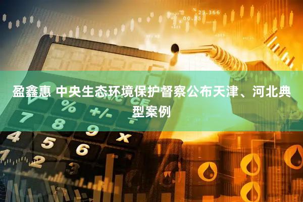 盈鑫惠 中央生态环境保护督察公布天津、河北典型案例